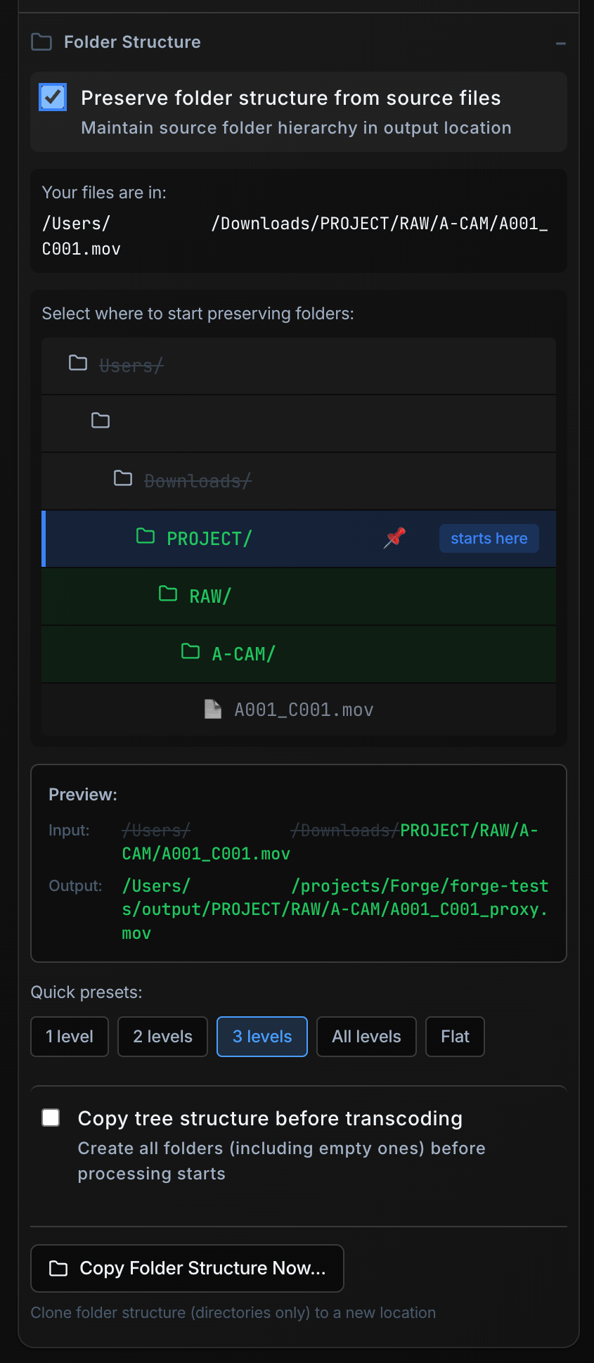 Destination folder structure preservation with selectable depth levels, input and output path preview, and quick presets